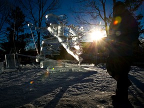 A man walks past an ice sculpture during the Ice on Whyte Festival at End of Steel Park in Edmonton, Alta., on Sunday, Jan. 26, 2014. Codie McLachlan/Edmonton Sun/QMI Agency
