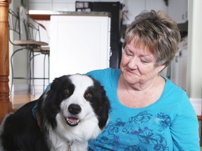 Lee Drader was shocked by the increase in the cost for a licence for her border collie Marin.  Elliot Ferguson The Whig-Standard