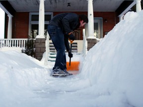 chris palmer shovel snow