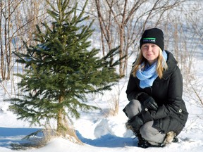 Luiza Moczarski, public relations supervisor for Kettle Creek Conservation Authority, crouches near a young spruce tree near the conservation authority office. There are plans to plant about 40,000 trees in the Kettle Creek watershed this year and other conservation authorities plan to plant as many as 70,000.