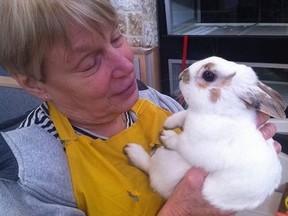 A volunteer 'rabbit wrangler' spends time with an appreciative bunny. Volunteer 'cat cuddlers' and dog walkers play essential roles in helping the Winnipeg Humane Society care for animals that are up for adoption.