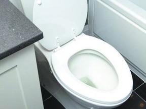 A dual flush toilet offers the choice of a full flush or half flush when that is all that?s needed.