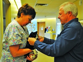 Greg Deitz of Calgary-based Invisible Fence of Western Canada puts a collar around Patches while Jane Machacek, physiotherapy assistant at the Vulcan Community Health Centre, holds the cat. Patches will receive a slight vibration while wearing the collar if it wanders beyond VCHC’s long-term care unit, but the companion cat didn’t bother approaching the invisible boundaries after Deitz briefly trained her Jan. 24. Stephen Tipper Vulcan Advocate