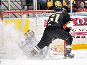 Sarnia Sting up for sale