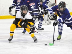 Josh Eidt (left) of the Mitchell Atom AE’s races for the loose puck against West Grey last Tuesday, Jan. 28 in OMHA AE Group 4/5 hockey. ANDY BADER/MITCHELL ADVOCATE