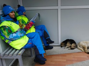Volunteers sit near two stray dogs outside the Gorki media centre where they will coordinate the media shuttles buses in Krasnaya Polyana, near Sochi, January 30, 2014. (REUTERS/Kai Pfaffenbach)