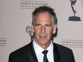 Scott Bakula (WENN.COM)