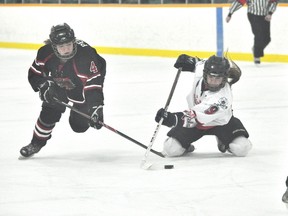 Caps forward Eryn Stewart controls the puck on her knees during a game last season. (Kevin Hirschfield/THE GRAPHIC/QMI AGENCY)