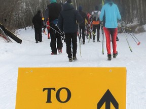 Skiers make their way to the starting line at the annual Beckie Scott Loppet held at the Vermilion Provincial Park this past Saturday.