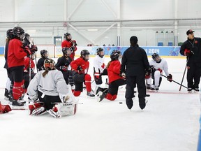 Canadian women's hockey coach Kevin Dineen (right) draws up plays during their team practice ahead of the 2014 Sochi Olympics February 4, 2014. (REUTERS/Mark Blinch)