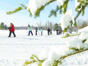 cross country skiing