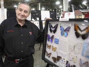 John Powers has brought his 500-specimen collection of insects to this weekend's home, boat and leisure show at the Kingston Expo Centre on Gardiners Road in Kingston, Friday.
MICHAEL LEA\THE WHIG STANDARD\QMI AGENCY.