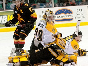 Belleville Bulls forward Cameron Brace looks on while the puck gets behind Sarnia Sting netminder Taylor Dupuis during OHL action Saturday night at Yardmen Arena. Bulls won, 4-3. (DON CARR for The Intelligencer)