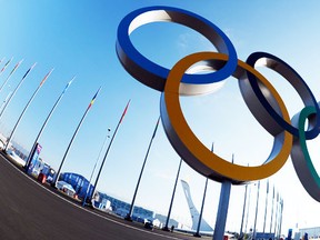 The Olympic flame cauldron and rings are pictured at the Sochi Olympic park on February 8, 2014 on the first day of the Sochi Winter Olympics.  (AFP PHOTO / ANDREJ ISAKOVIC)