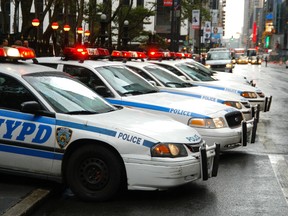 NYPD cruisers appear in a file photo. (Fotolia)