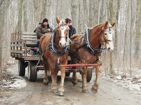 Kinsmen Fanshawe Sugar Bush will be open for Family Day, Feb. 17 from 11am-3pm.