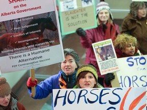 People protesting the culling of wild horses in Alberta await the arrival of Alison Redford at Dragon City Mall in downtown Calgary, Alta., on Tuesday February 11, 2014.  Brent Calver/Special to Calgary Sun