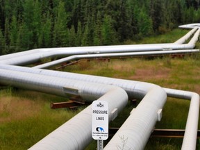 Pipelines at Canadian Natural Resources Limited's (CNRL) Primrose Lake oil sands project are seen near Cold Lake, Alberta.

REUTERS/Dan Riedlhuber