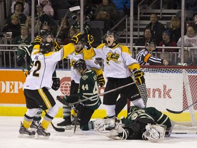 Sarnia Sting forward Noah Bushnell celebrates after scoring the game opening goal against London Knights goaltender Jake Patterson during their OHL hockey game at Budweiser Gardens in London, Ontario on Friday February 14, 2014.
CRAIG GLOVER/The London Free Press/QMI Agency