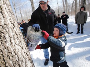 Five-year-old Tavish helps Rick Phillips, Warden of Hastings County, tapping the first maple tree of the season at Trillium Ridge Sugar Works in Shannonville, Ont. Saturday, Feb. 15, 2014. -  JEROME LESSARD/The Intelligencer