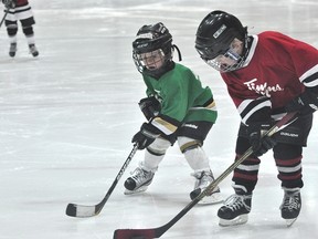 Portage 1 takes on Neepawa in Portage squirts tournament action Feb. 16. (Kevin Hirschfield/THE GRAPHIC/QMI AGENCY)