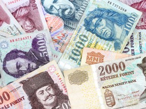 Hungarian forint. (Fotolia.com)