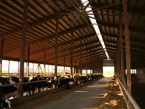 barn alley