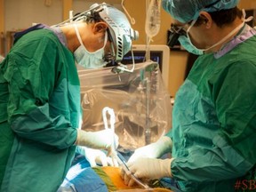 Surgeon Dr. Gideon Cohen makes an incision down the middle of a patient's chest, to allow access to the heart. Sunnybrook hospital live tweeted the entire surgery.