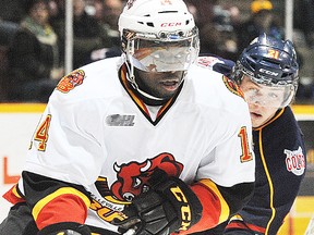 Bulls D-man Jordan Subban tries to evade the close checking of Barrie forward Brendan Lemieux during OHL action at the Molson Centre Thursday night. (MARK WANZEL/Barrie Examiner)