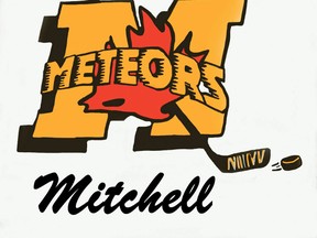 Minor hockey logo