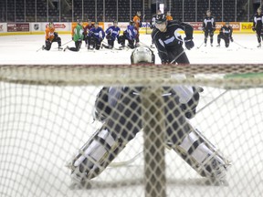 London Knights defenceman Zach Bell moves in for a shot on goalie Anthony Stolarz as the rest of the team watches during practice at Budweiser Gardens on Tuesday. Stolarz, who suffered a bad cut on the back of his leg during a game on Jan. 17, is close to returning but didn?t make the trip to Erie with the team on Tuesday. (CRAIG GLOVER, The London Free Press)