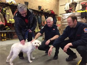 Dog owner Audrey Fantauzzi at Fire Station 421 with her dog Benny Wednesday February 26, 2014, to see Capt. Brian Scriver (middle) and firefighter Dan Schwarz, who rescued dog from a 15-m deep hole. (Ernest Doroszuk/Toronto Sun)