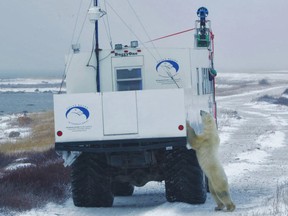 The Street View Trekker, mounted on a Tundra Buggy, captures images of Churchill’s polar bears.

(Courtesy Google)