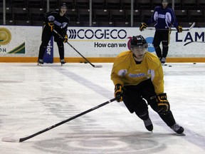 Davis Brown (in yellow) of the Sarnia Sting wheels up the ice during a drill at practice on Thursday, Feb. 27. The Sting are set to take on the Erie Otters on Friday night, and are likely to have a full line up for the first time in almost a month. (SHAUN BISSON, The Observer)