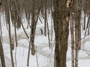 It’s become a yearlong process for 65-year-old Robert Charest to design and create the pond skating rink in the forested area beside his property north of Perth Road Village. For the last eight years, he has been clearing paths around the trees to create the equivalent skating surface of three hockey rinks. At 230-meters long by 20-meters wide, this outdoor ice rink has become a favourite place for neighbourhood kids and the local wildlife to learn to skate and enjoy the great outdoors.