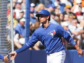 Blue Jays second baseman Ryan Goins (Veronica Henri, Toronto Sun)