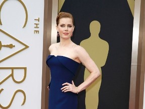Amy Adams, best actress nominee for her role in "American Hustle", arrives on the red carpet at the 86th Academy Awards in Hollywood, California March 2, 2014.  REUTERS/Mike Blake