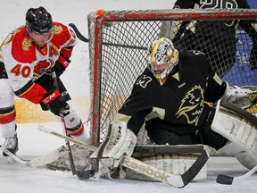 Taylor Stefishen of the University of Calgary Dinos tries a wrap-around on goalie Joe Caligiuri of the University of Manitoba Bisons during CIS hockey playoff action in Calgary, Alta., on Sunday March 2, 2014. It was Game 3 of the Canada West semifinal series. Lyle Aspinall/Calgary Sun/QMI Agency