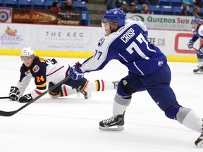 Sudbury Wolves vs Barrie Colts March 5/2014_2