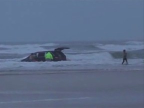 In this still image captured from video, rescuers pull three children from a minivan tossing in the surf at Dayton Beach, Florida March 4, 2014 after their mother drove them into the Atlantic Ocean, according to the Volusia County Sheriff's Office. The children were unhurt. Video taken March 4, 2014. REUTERS/Simon Besner