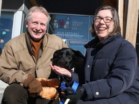 John and Sheila (last names not released) pose with Breezy, just before taking their new pet home from the Ottawa Humane Society. The animal had been viciously beaten and left for dead in a dumpster by the son of its former owner, in a case which caused a public outcry in Ottawa. (DOUG HEMPSTEAD Ottawa Sun)