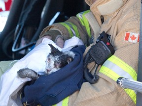 London firefighter