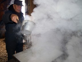 Steam rises from an evaporator as George Fairservice demonstrates maple syrup making at Springwater Conservation Area, where Catfish Creek Conservation Authority's annual Springwater Maple Syrup Festival opens to the public 10 a.m. - 3 p.m. this weekend. The event is on daily through March Break and weekends in March afterward. Information: catfishcreek.ca
Eric Bunnell/Times-Journal
