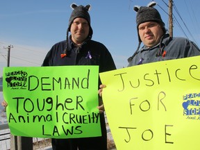 Sporting hats to look like cat ears, Scott Spinks, left, and his son Scott Spinks Jr., from Sarnia, plan to be among the protestors at the Sarnia Courthouse March 19. They're among a group calling for stiffer penalties for animal cruelty convictions. TYLER KULA/ THE OBSERVER/ QMI AGENCY