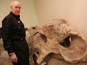 Stones 'N Bones owner Jim Richards shows off a cast of a pachyrhinosaur skull at his downtown Sarnia museum. Palaeontologists recently discovered a similar skull in Drumheller, Alta. BARBARA SIMPSON/THE OBSERVER/QMI AGENCY