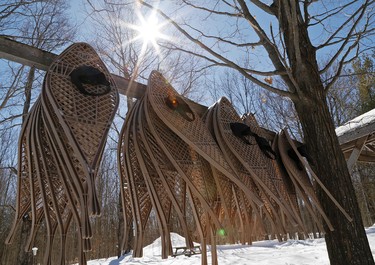 The sun frames a row of snowshoes on display in preparation for the 21st annual Buckhorn Maplefest on Thursday, March 13, 2014 at McLean Berry Farm in Buckhorn. Clifford Skarstedt/QMI Agency