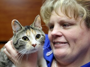 Sheila Jackson, assistant manager of the Garden City PetSmart, holds "Suzanne" at the store in Winnipeg, Man. Thursday March 13, 2014. The store will be holding a cat adoption this weekend. (Brian Donogh/Winnipeg Sun)