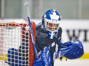 The longer Maple Leafs No. 1 Jonathan Bernier is injured, the more likely it becomes that Marlies call-up Drew MacIntyre gets his first NHL start. (Ernest Doroszuk/Toronto Sun)