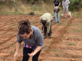 Members of Enactus Lambton and South West Ag worked alongside local farmers to plant 350 acres of corn in rural Zambia this December. In total, the group planted 11.2 million seeds by hand in six weeks. SUBMITTED PHOTO