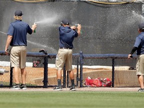 Members of the field crew spray a swarm of bees in the third inning of a game between the Boston Red Sox and the New York Yankees of a game at George M. Steinbrenner Field on March 18, 2014 in Tampa, Florida. (Stacy Revere/Getty Images/AFP)